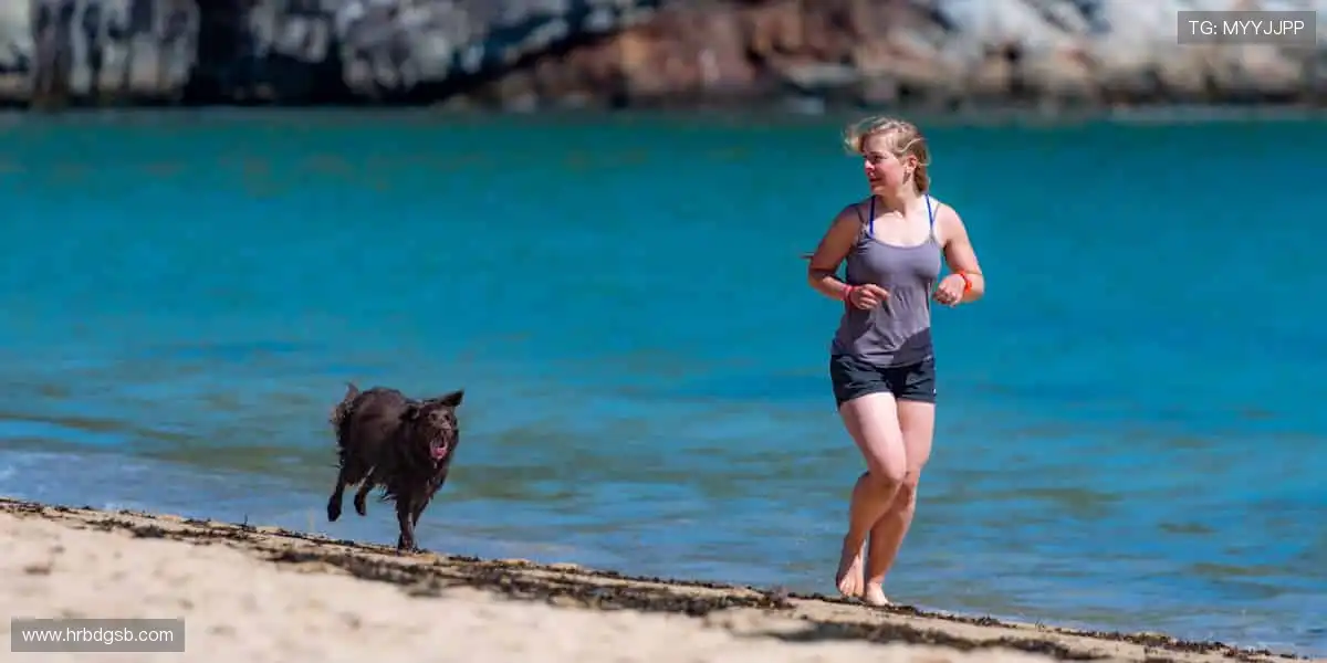 🚴 运动不止,探索无限可能,从一双专业跑鞋开始!👟